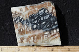 Picasso Stone Rock Slab 276