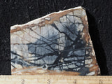Picasso Stone Rock Slab 278
