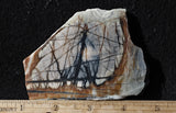 Picasso Stone Rock Slab 270