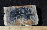 Picasso Stone Rock Slab 273