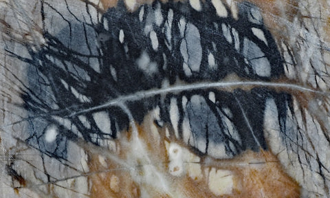 Picasso Stone Rock Slab 273