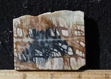 Picasso Stone Rock Slab 288