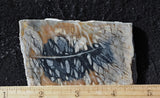 Picasso Stone Rock Slab 274