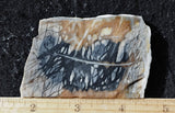 Picasso Stone Rock Slab 294