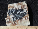 Picasso Stone Rock Slab 279