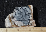 Picasso Stone Rock Slab 292