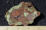 Spiderweb Jasper Slab 86