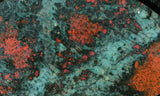 Sonora Sunrise Rock Slab 289