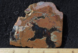 Priday Plume Agate  Rock Slab 26