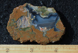 Priday Plume Agate  Rock Slab 15