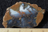 Priday Plume Agate  Rock Slab 18