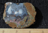 Priday Plume Agate  Rock Slab 14