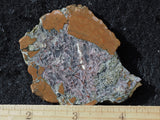 Priday Plume Agate  Rock Slab 25