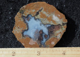 Priday Plume Agate  Rock Slab 35