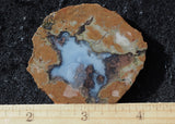 Priday Plume Agate  Rock Slab 35