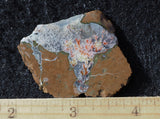 Priday Plume Agate  Rock Slab 16