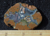 Priday Plume Agate  Rock Slab 20