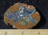 Priday Plume Agate  Rock Slab 20