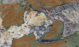 Priday Plume Agate  Rock Slab 31