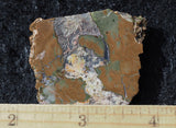 Priday Plume Agate  Rock Slab 31