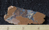 Priday Plume Agate  Rock Slab 34