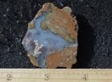 Priday Plume Agate  Rock Slab 29