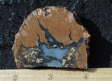 Priday Plume Agate  Rock Slab 32