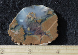 Priday Plume Agate  Rock Slab 33