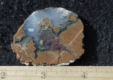 Priday Plume Agate  Rock Slab 33