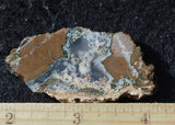 Priday Plume Agate  Rock Slab 19