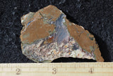 Priday Plume Agate  Rock Slab 27