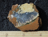 Priday Plume Agate  Rock Slab 23