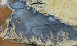 Priday Plume Agate  Rock Slab 23