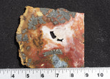 Red Marcasite Slab 474