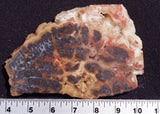 Red Marcasite Slab 383