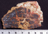 Red Marcasite Slab 383