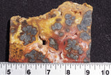 Red Marcasite Slab 394