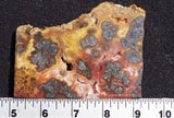 Red Marcasite Slab 394