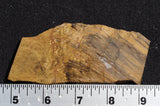 Bargain Bin E Slab 283