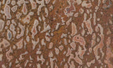 Dinosaur Bone Rock Slab 432