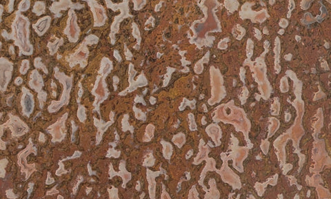 Dinosaur Bone Rock Slab 432