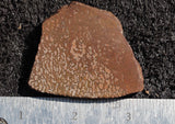 Dinosaur Bone Rock Slab 443