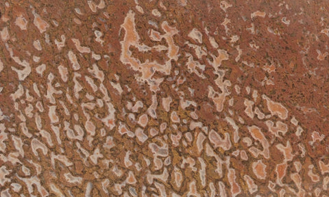 Dinosaur Bone Rock Slab 443