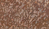 Dinosaur Bone Rock Slab 430
