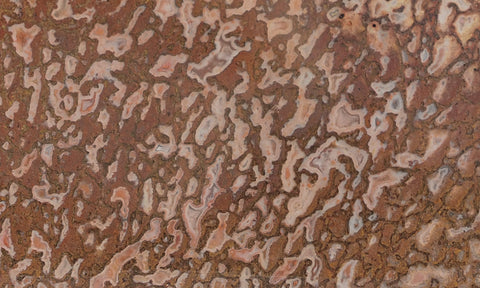 Dinosaur Bone Rock Slab 430