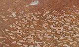 Dinosaur Bone Rock Slab 434