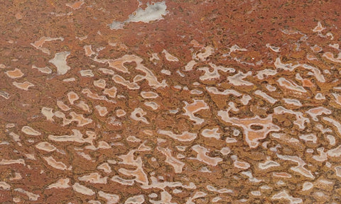 Dinosaur Bone Rock Slab 434