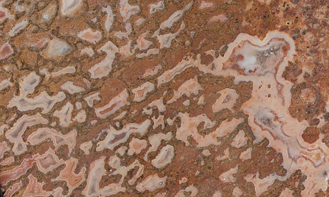 Dinosaur Bone Rock Slab 445