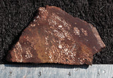 Bargain Bin F Slab 228