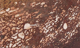 Bargain Bin F Slab 228